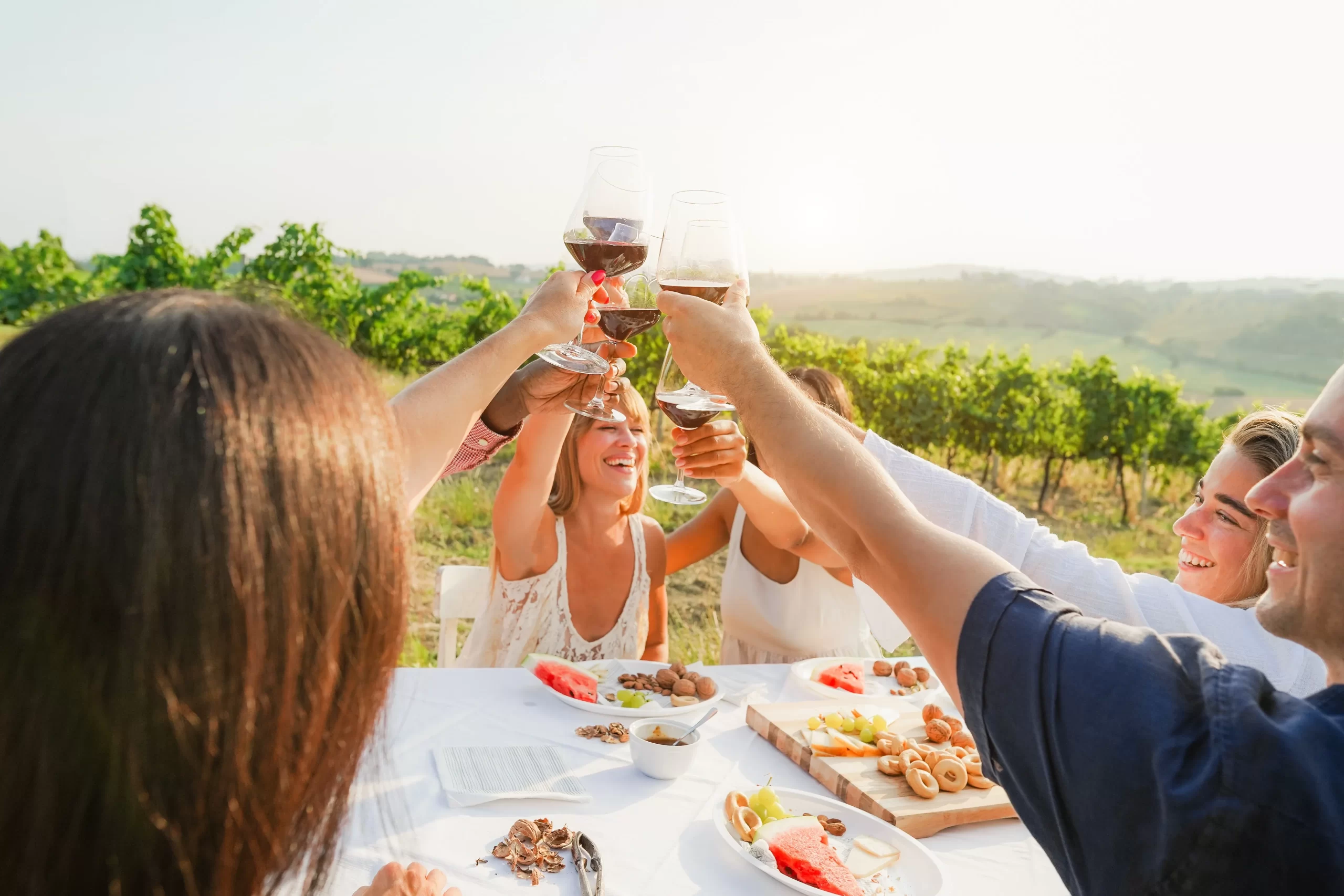Happy adult friends having fun drinking red wine and eating together with vineyard in background - Multiracial people doing appetizer at summer time in countryside resort - Main focus on hands